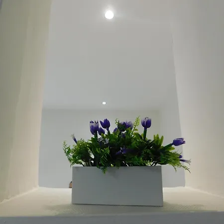 La Casa Fiorentina شقة