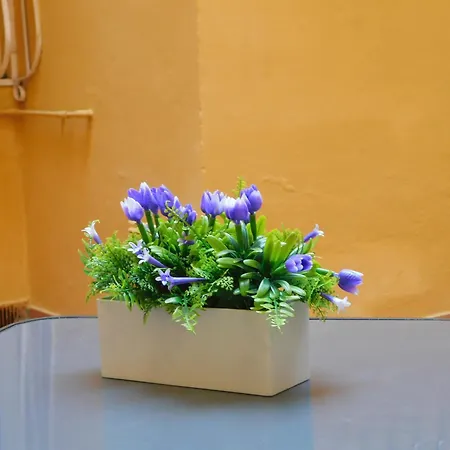La Casa Fiorentina * 佛罗伦萨